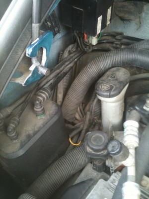 2012-08-23 13.37.47.jpg (33.18 Kio) Vu 2992 fois Le caooutchouc noir