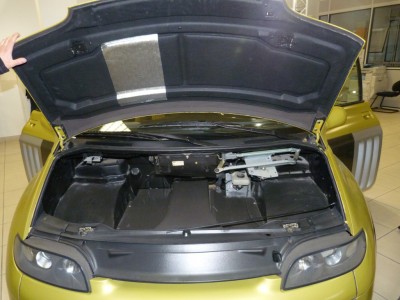 P1040873 (Medium).JPG (199.35 Kio) Vu 11006 fois Compartiment avant plein de vide