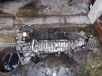 IMGP5135.JPG (1.5 Mio) Vu 3550 fois Après une heure d'effort (et un peu pollué le sol, malheureusement)