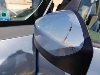 20200627_105436.jpg (159.01 Kio) Vu 4993 fois 20200627_105436.jpg