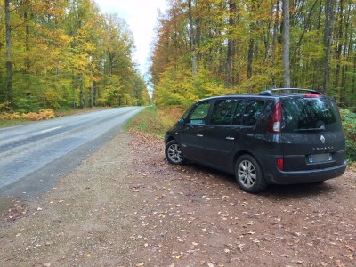 Forêt de Tronçais4.jpg