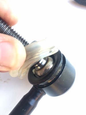 IMG_4421.JPG (50.43 Kio) Vu 4823 fois Pas beaucoup de graisse...