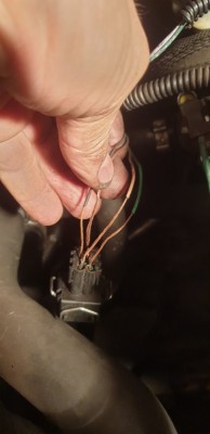 20230325_213250.jpg (129.46 Kio) Vu 3890 fois Fils dénudés