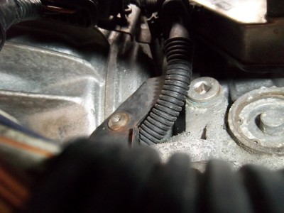 IMGP7322.JPG (191.98 Kio) Vu 4212 fois Le fameux bouchon de remplissage !!