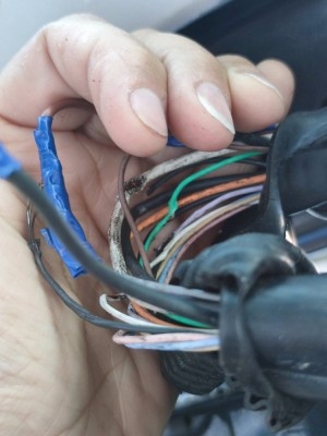 IMG_20240508_090021.jpg (280.3 Kio) Vu 2087 fois Fil coffre