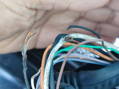 IMG_20240508_085859.jpg (268.64 Kio) Vu 2087 fois Fil coffre