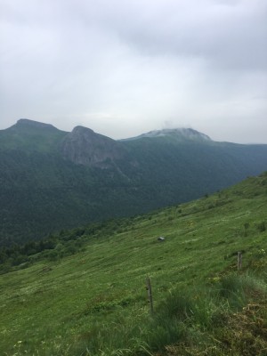 IMG_7068.JPG (195.18 Kio) Vu 2588 fois La fourrière ne viendra pas le chercher, il est tranquille dans le champ à 1600 m d'altitude !