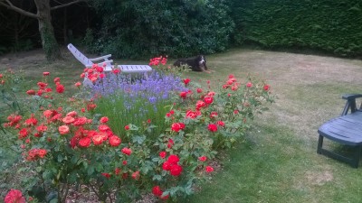 WP_20140626_001.jpg
