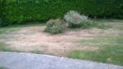 WP_20140626_005.jpg