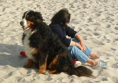 Ballade en bord de mer