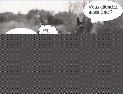 capture253.jpg