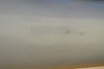 DSC_0828.JPG