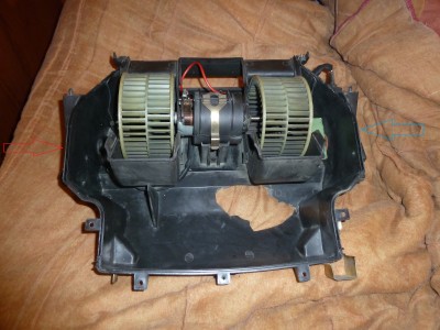 P1170158 bis.jpg