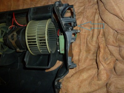 P1170159 bis.jpg