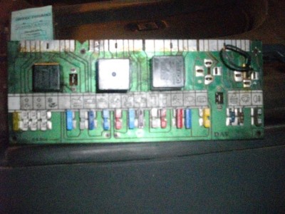 platin10.jpg