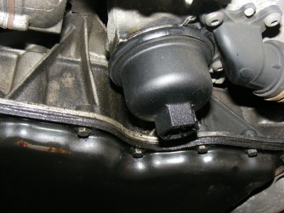 DSCF8848.JPG