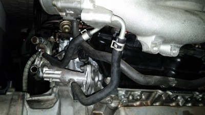 20160129_004020.jpg