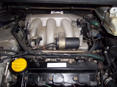 IMGP4896.JPG (2.03 Mio) Vu 6235 fois Voilà la bête.. Ca promet !