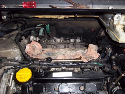 IMGP4910.JPG (2.17 Mio) Vu 6235 fois Après 7 heures de lutte...