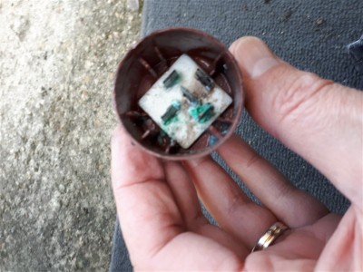 20181103_152715.jpg (96.3 Kio) Vu 5031 fois Le tout baignait dans l'eau !