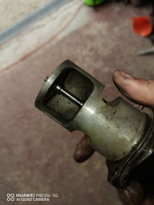 153962101_548283962873193_7556953639542395947_n.jpg (68.74 Kio) Vu 6885 fois Egr propre