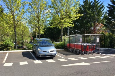 Premières pousses de printemps.jpg (457.68 Kio) Vu 3913 fois Avec le tendre vert des premières feuilles!