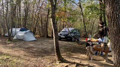 Ballade En Forêt (1).jpeg