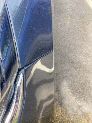 IMG_5892.jpeg