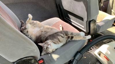 IMG_1945.jpeg