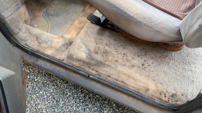 IMG_2115.jpeg