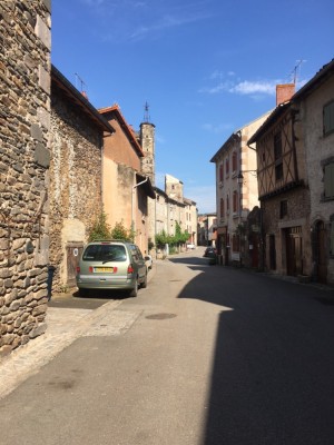 IMG_7074.JPG (279.5 Kio) Vu 2309 fois 2,2 dT court vert Lichen, copaignnn !!