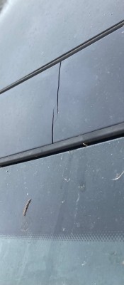 IMG_6148.jpeg