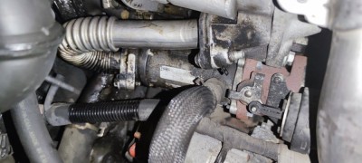 IMG_20241228_171740.jpg