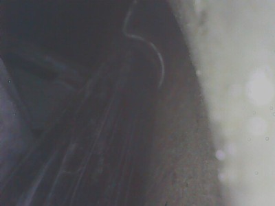 IPC_2025-01-10.19.39.10.0900.jpg