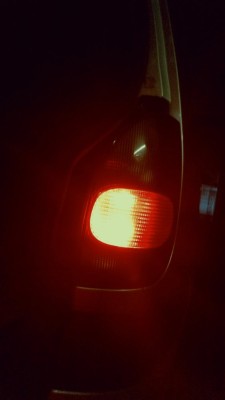 20250129_104622.jpg
