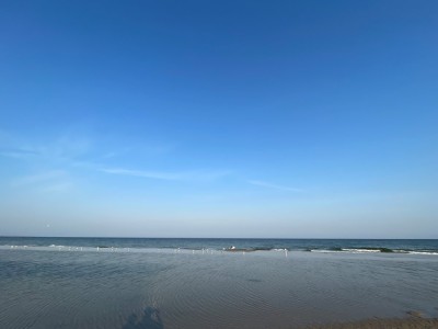 IMG_2548.JPG