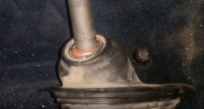 20250408_151600.jpg