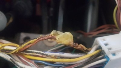 20250806_154307 (Copier).jpg