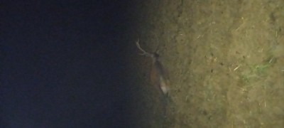 20250903_023528.jpg
