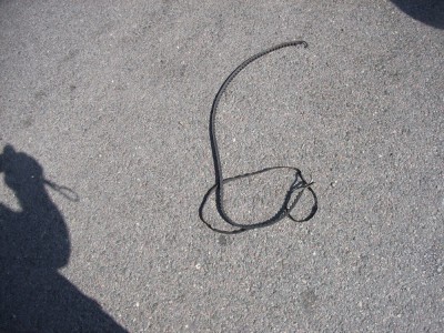 et une courroie de distribution