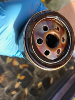 IMG_8040.jpg (210.77 Kio) Vu 1381 fois Huile ayant 12 000 km : c'est plus que j'ai l'habitude de faire entre mes vidanges