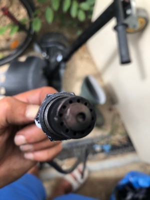 IMG_6399.jpeg