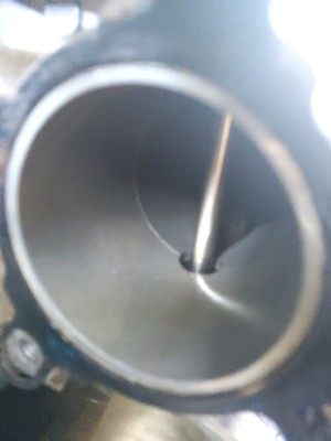 20260904_121312.jpg