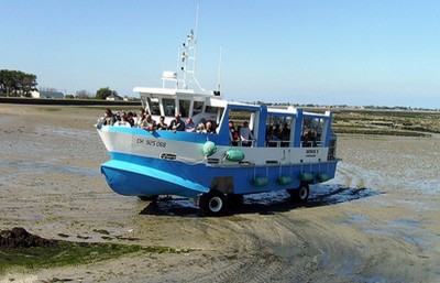 Bateau St Vaast1.jpg